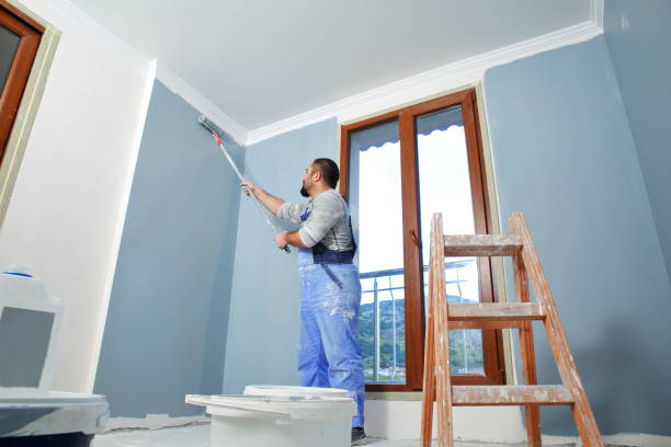 Best Attic Mold Removal  in Bear Creek, AK