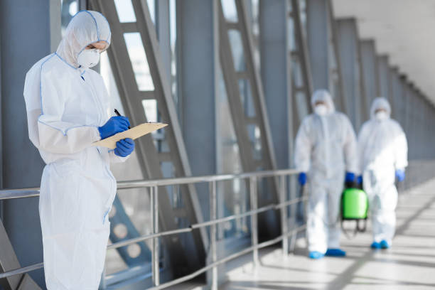 Best Commercial Mold Inspection  in Bear Creek, AK