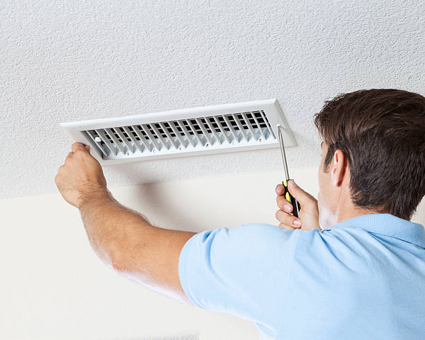 Best Mold Odor Removal Services  in Bear Creek, AK